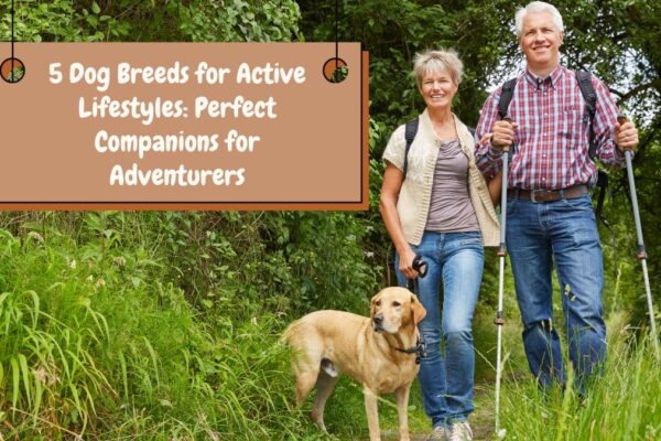 5 Dog Breeds for Active Lifestyles: Perfect Companions for Adventurers