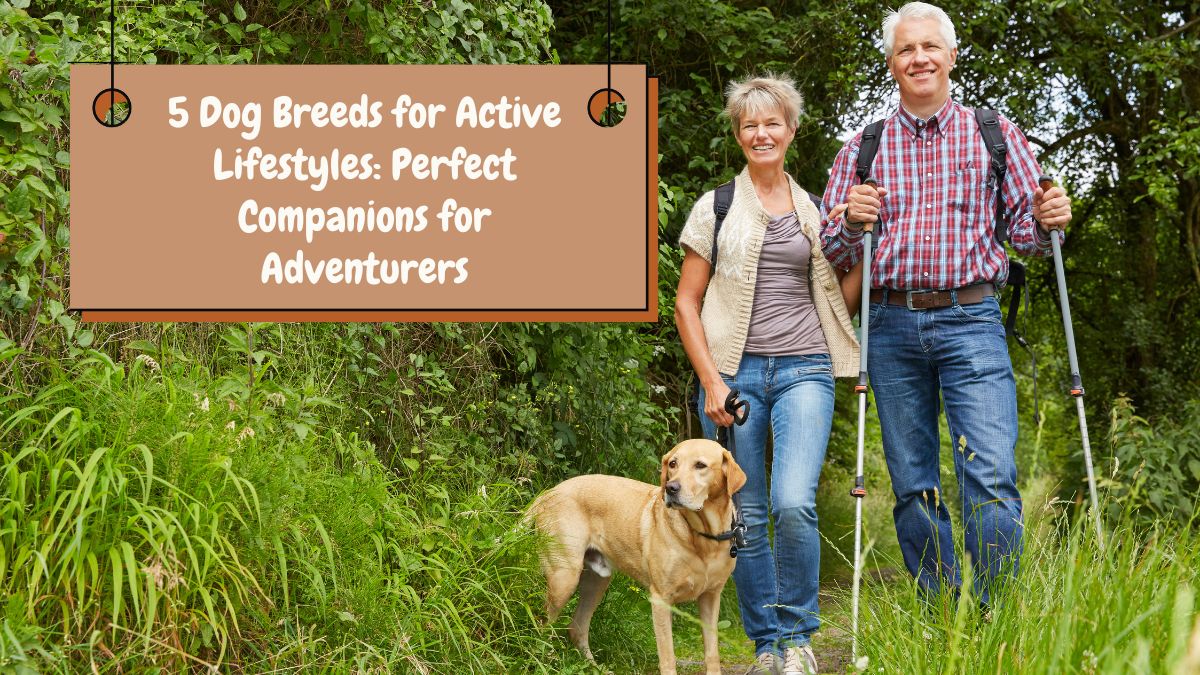 5 Dog Breeds for Active Lifestyles: Perfect Companions for Adventurers