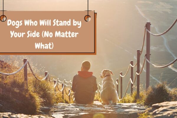 Dogs Who Will Stand by Your Side (No Matter What)