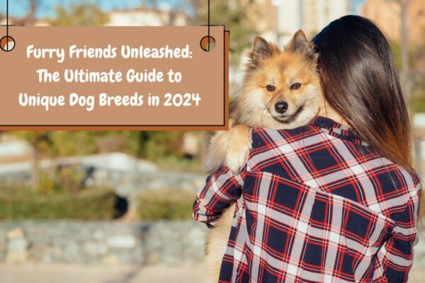 Furry Friends Unleashed: The Ultimate Guide to Unique Dog Breeds in 2024