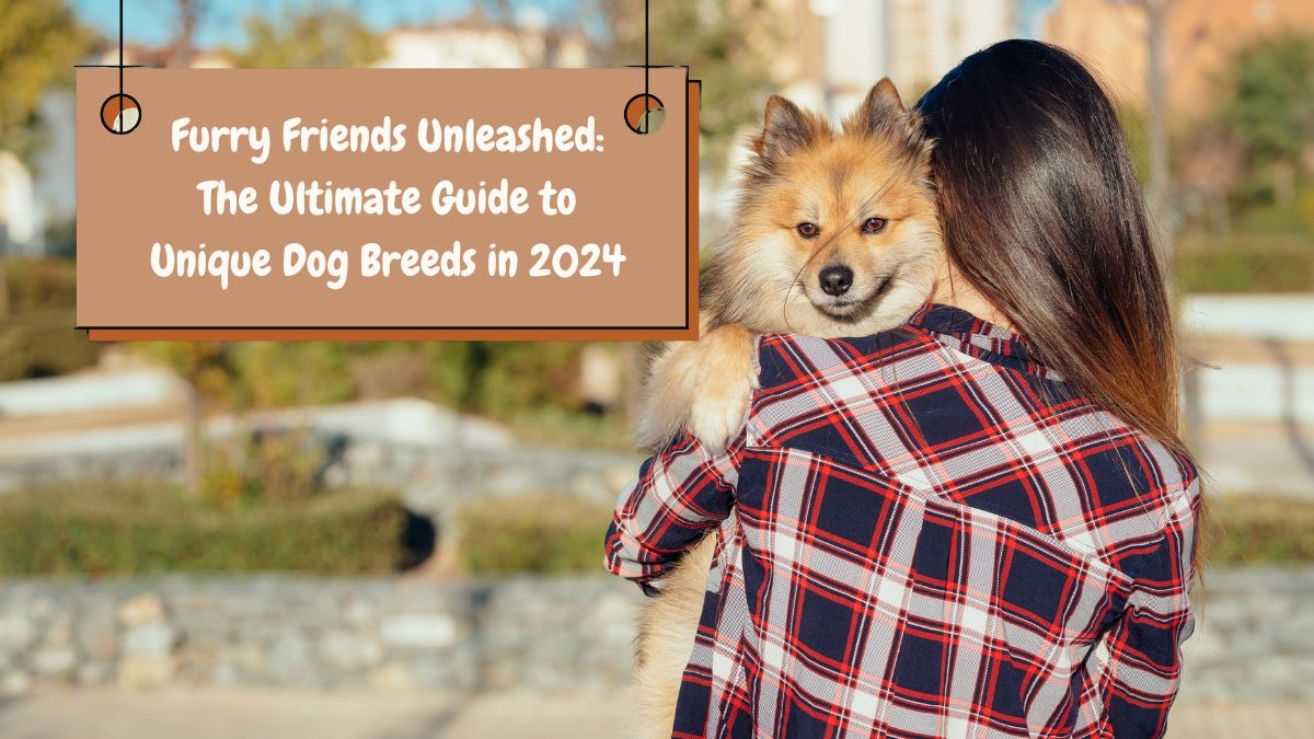 Furry Friends Unleashed: The Ultimate Guide to Unique Dog Breeds in 2024