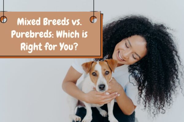 Mixed Breeds vs. Purebreds: Which is Right for You?