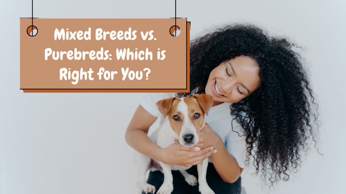 Mixed Breeds vs. Purebreds: Which is Right for You?