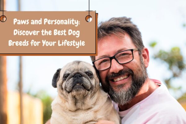 Paws and Personality: Discover the Best Dog Breeds for Your Lifestyle