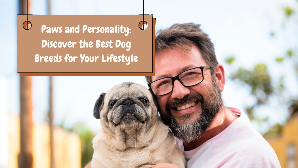 Paws and Personality: Discover the Best Dog Breeds for Your Lifestyle