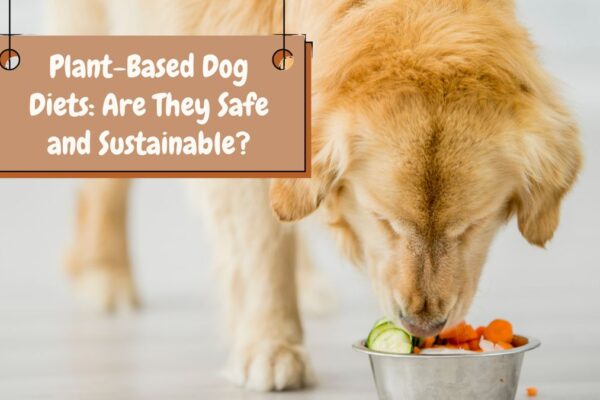 Plant-Based Dog Diets: Are They Safe and Sustainable?