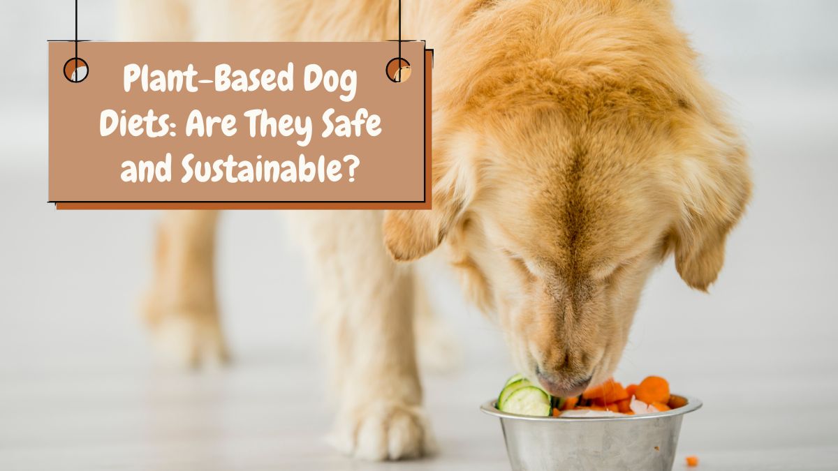 Plant-Based Dog Diets: Are They Safe and Sustainable?