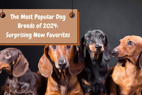 The Most Popular Dog Breeds of 2024: Surprising New Favorites