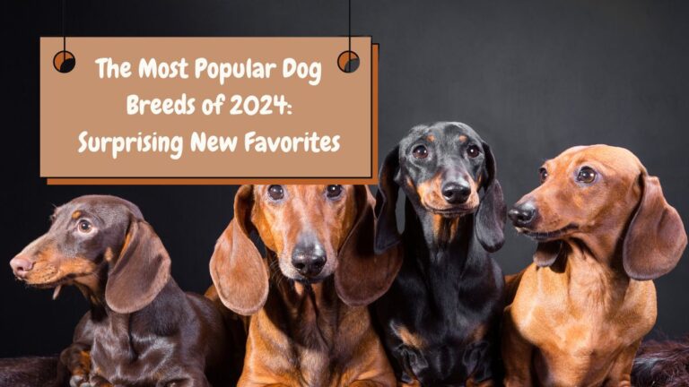 The Most Popular Dog Breeds of 2024: Surprising New Favorites