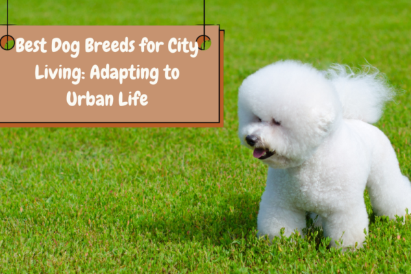 Best Dog Breeds for City Living Adapting to Urban Life