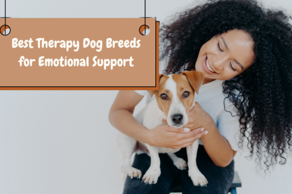 Best Therapy Dog Breeds for Emotional Support: Loyal Companions for Comfort and Healing