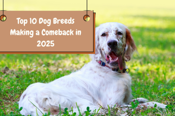 Top 10 Dog Breeds Making a Comeback in 2025