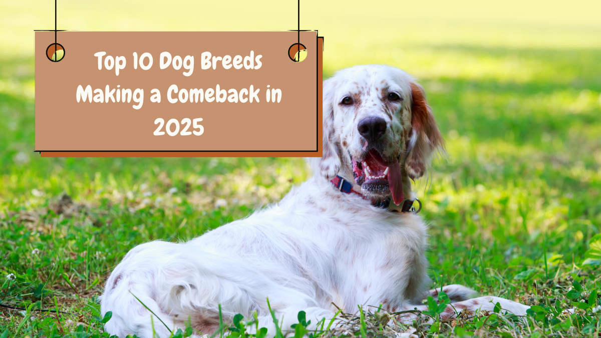 Top 10 Dog Breeds Making a Comeback in 2025