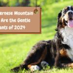 Why Bernese Mountain Dogs Are the Gentle Giants of 2024